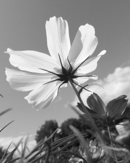 ???????????????????????