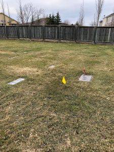 199710316_aa55b7c6-7db5-4672-925e-cd2cba9af7a4