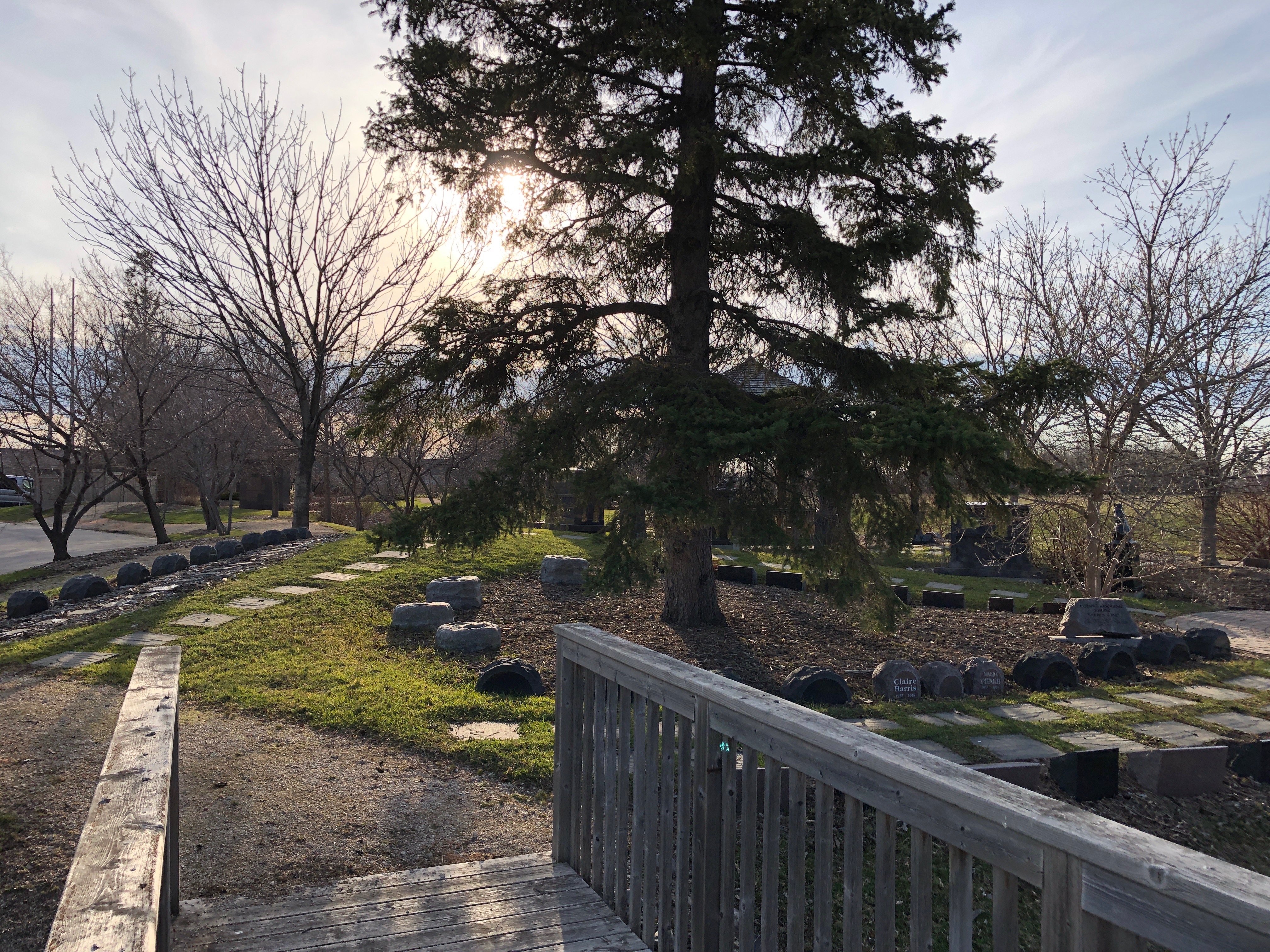 6E6B0493-DC47-4FF5-B3C3-722C96B16E5A